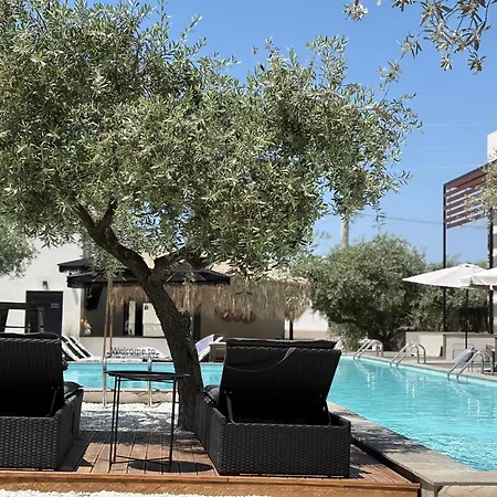 The Olive Hills Skala Rachoni (Thasos)