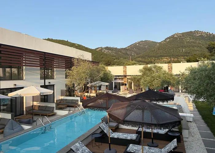 The Olive Hills Hotel Skala Rachoni (Thasos)