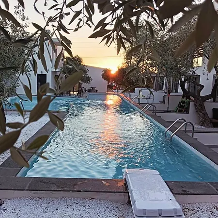 Hotel The Olive Hills Skala Rachoni (Thasos)