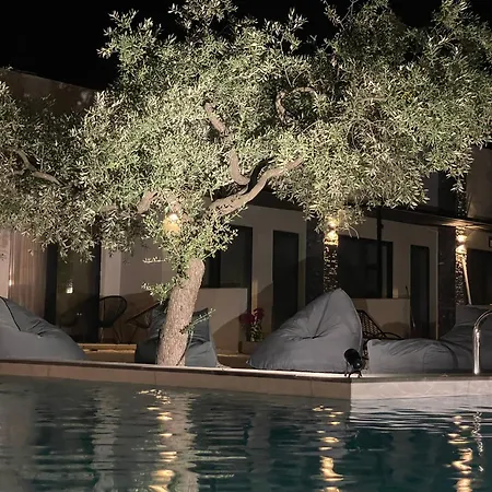 The Olive Hills Hotel Skala Rachoni (Thasos)