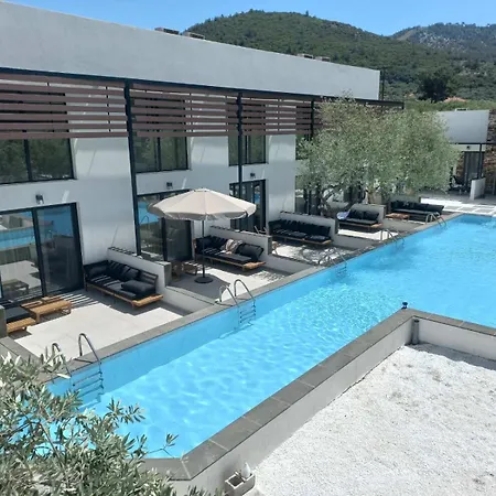 The Olive Hills
