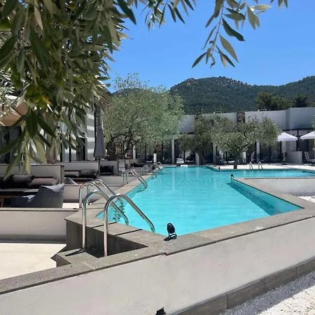 酒店 The Olive Hills Skala Rachoni (Thasos)