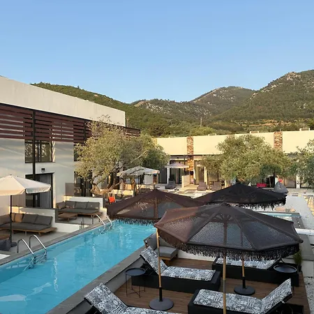 The Olive Hills 酒店 Skala Rachoni (Thasos)