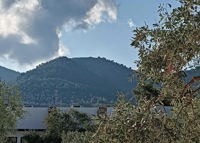 Otel The Olive Hills