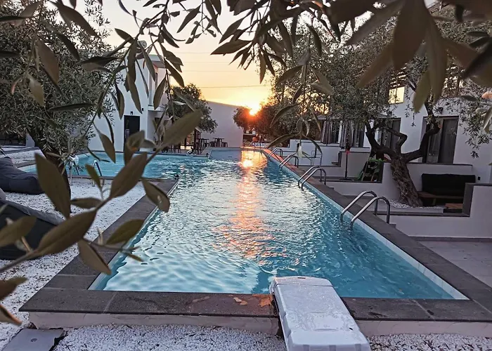 Hotel The Olive Hills Skala Rachoni (Thasos)