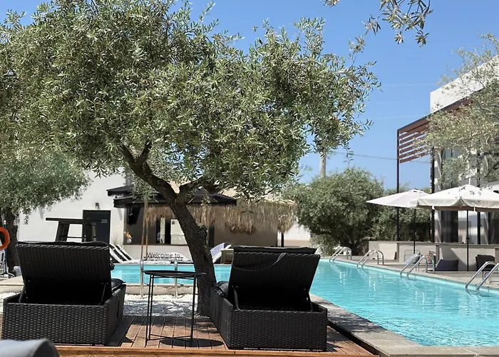 The Olive Hills Skala Rachoni (Thasos)